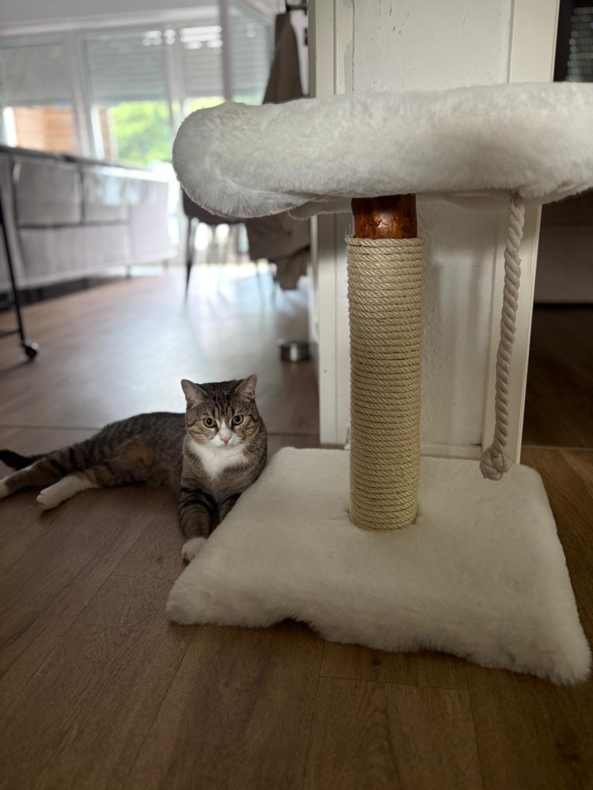 Kratzbaum - "Lisa" - 40-50 cm hoch – Fellbezogen, Naturholz & Entrindet - extra dickes Sisal – Handgemacht