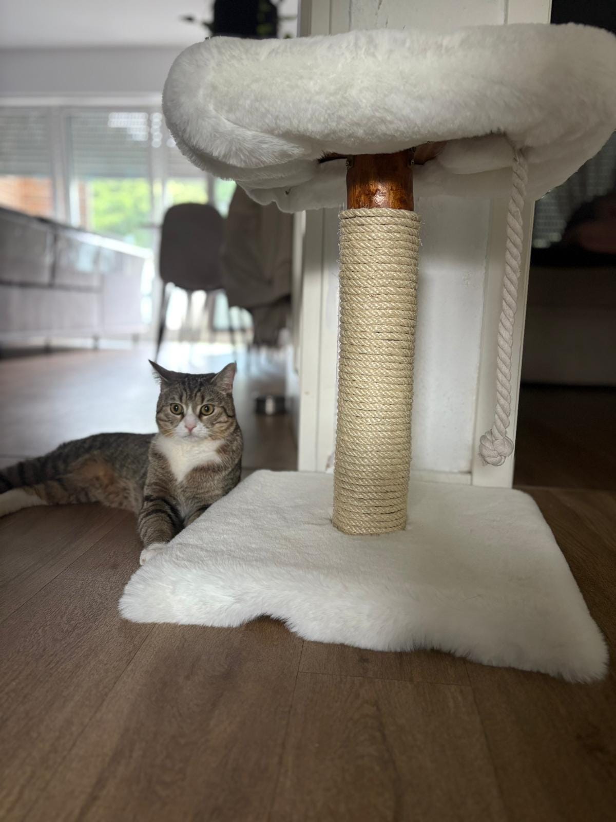 Kratzbaum - "Lisa" - 40-50 cm hoch – Fellbezogen, Naturholz & Entrindet - extra dickes Sisal – Handgemacht