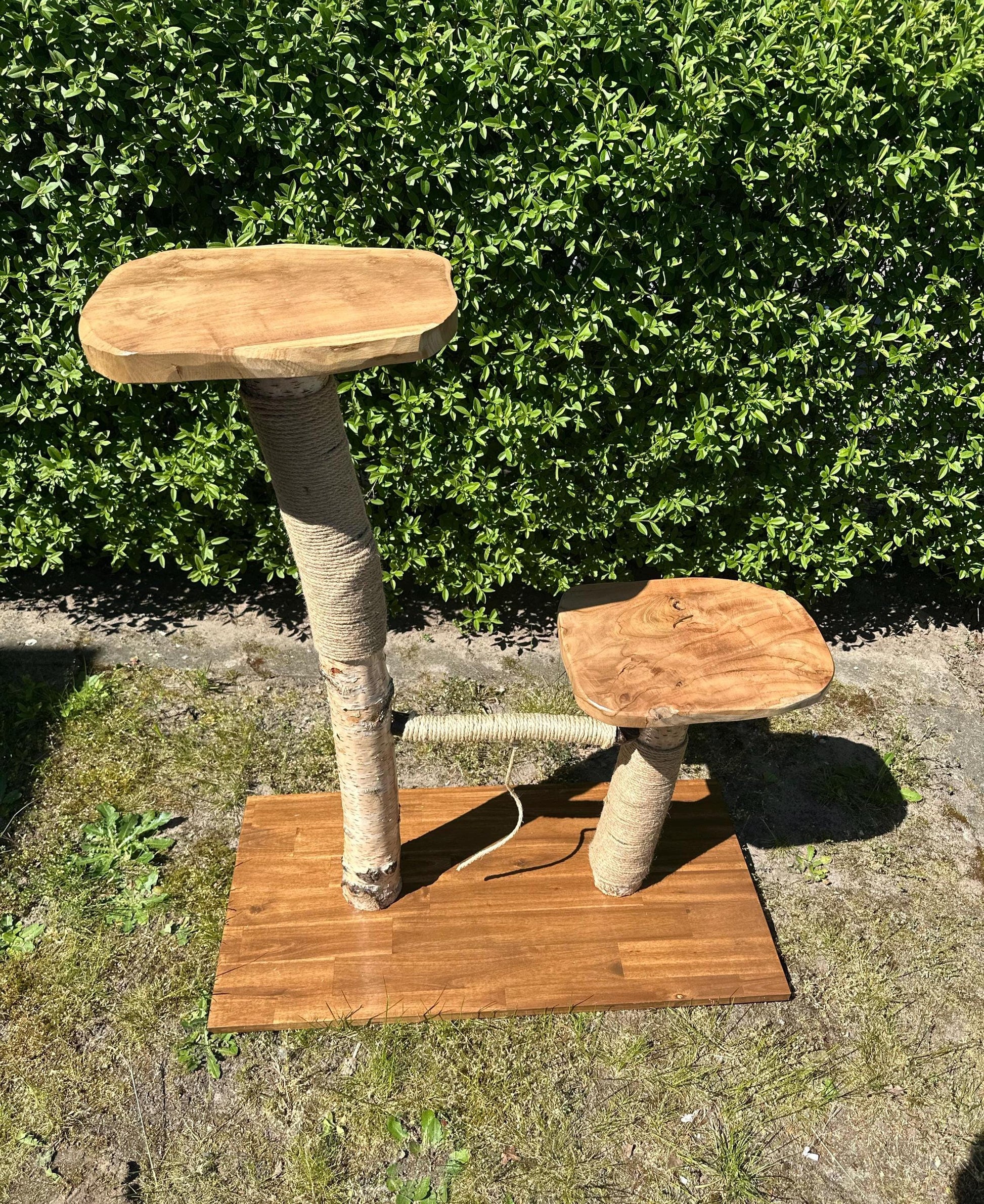 Kratzbaum "Bruno" aus Naturholz - Handgefertigt – Birke & Akazie – Für Innen und Außen – Platzsparend  – Kratzmöbel für Katzen – Nachhaltiges Design