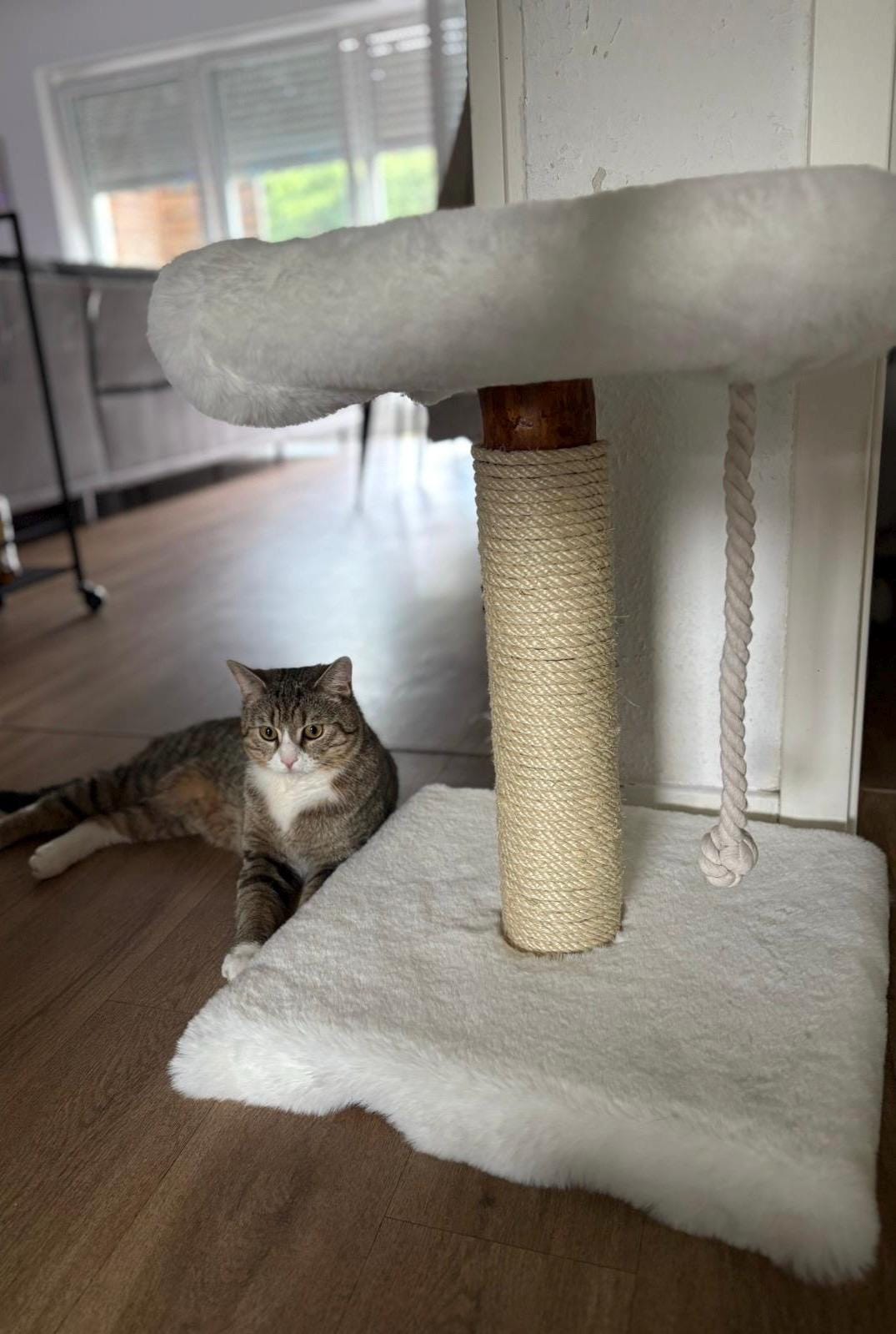 Kratzbaum - "Lisa" - 40-50 cm hoch – Fellbezogen, Naturholz & Entrindet - extra dickes Sisal – Handgemacht