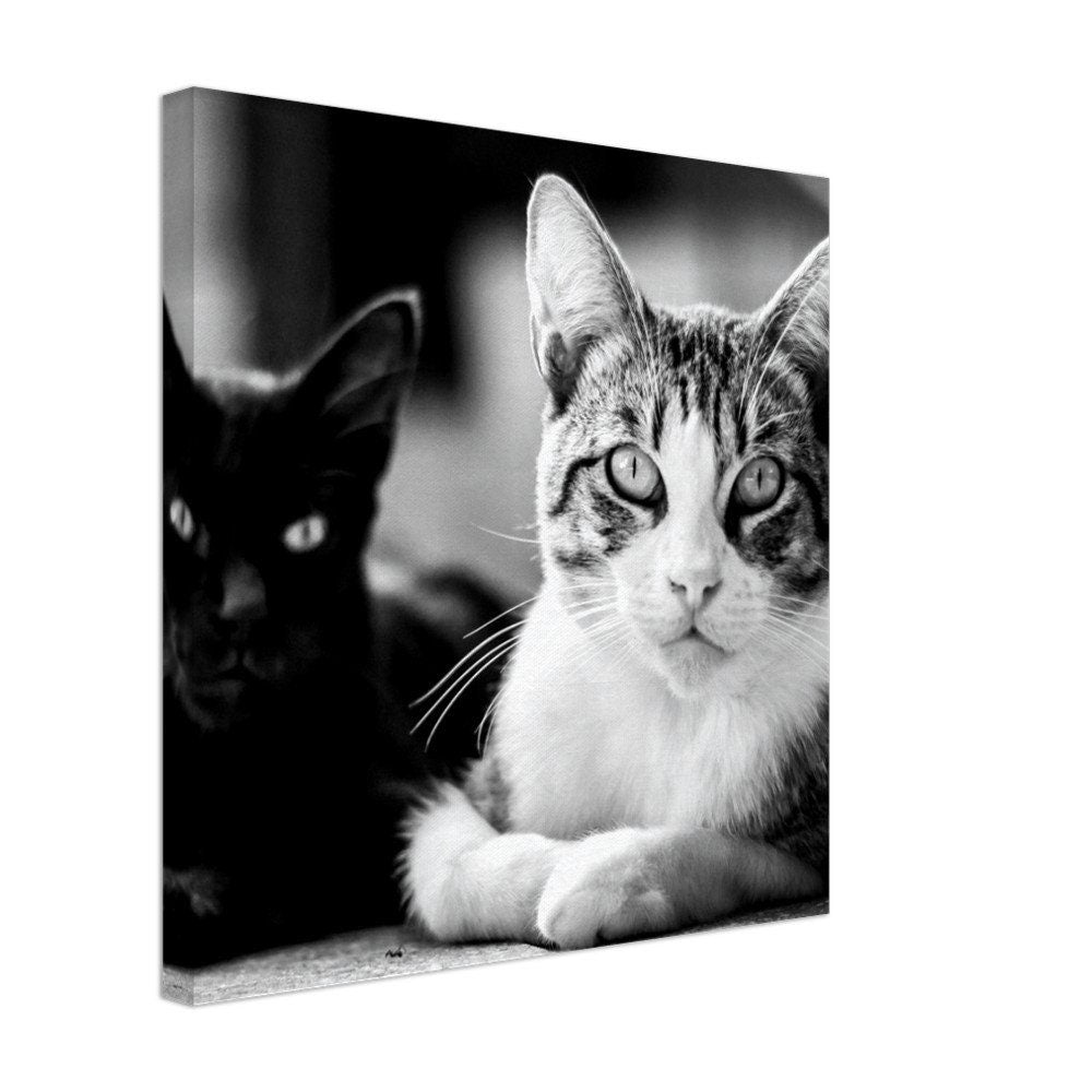 Personalisierte Katzen Leinwand – Dein Haustier als Wandbild – Individuelles Tierportrait auf Leinwand – Geschenk für Katzenliebhaber – Haus