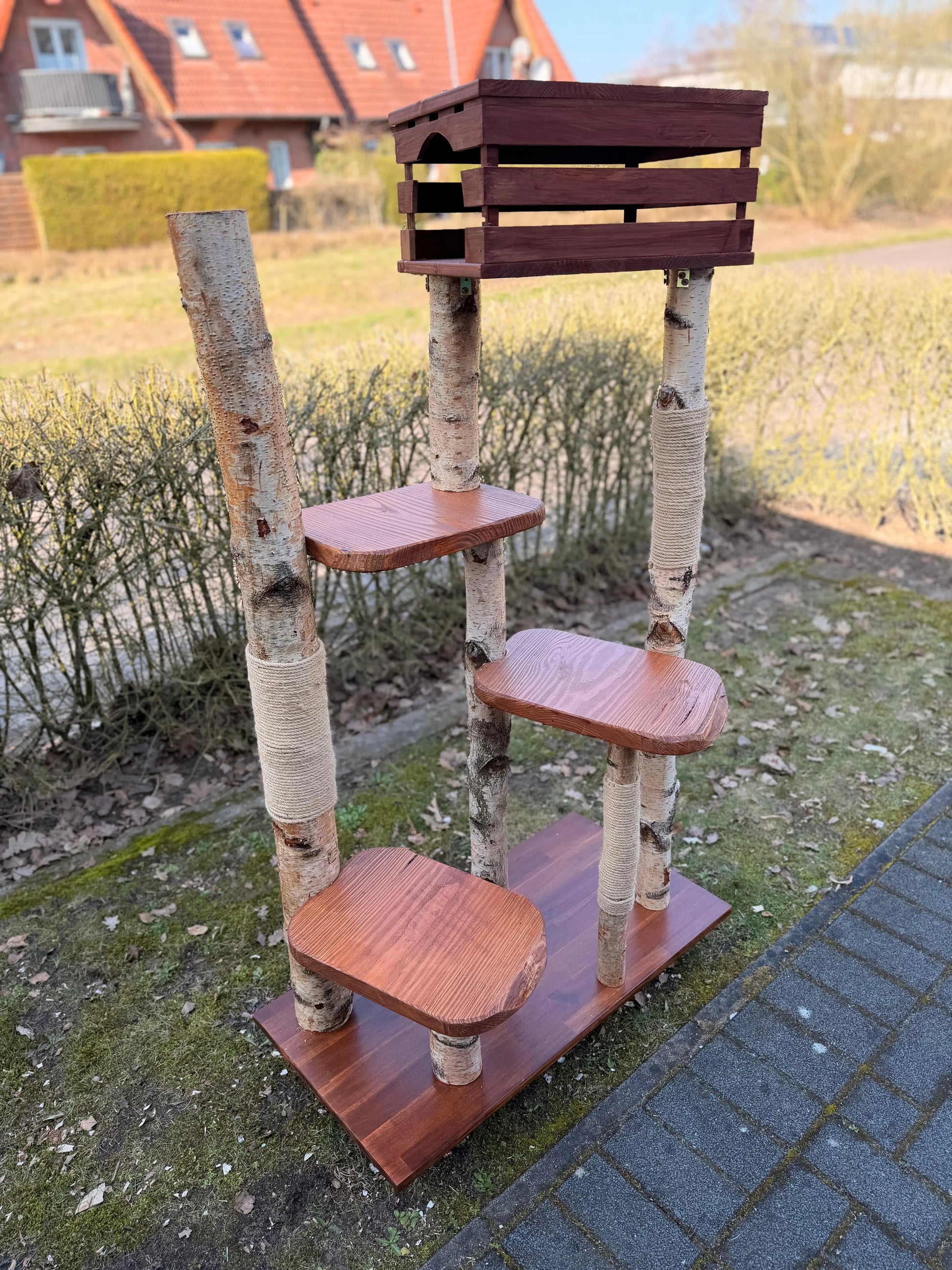 Kratzbaum "Waldtraum" aus Birke & Akazie – Stabil und Wetterfest | Für Innen und Außen | Mehrstöckiger Premium-Katzenbaum mit Naturholz Bunterkopf