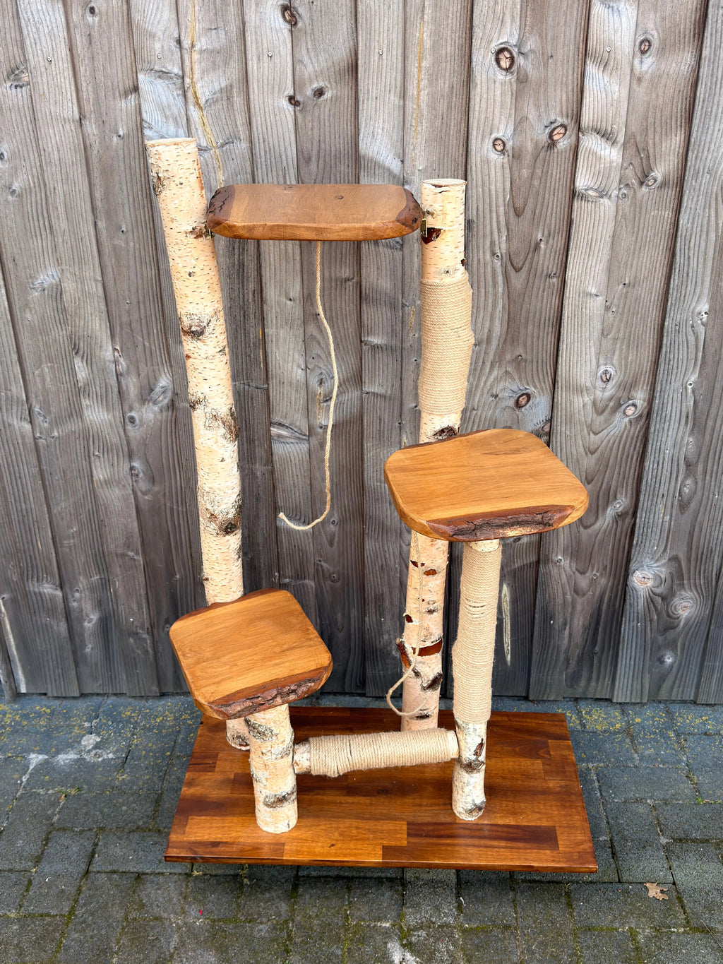 Kratzbaum "Waldtraum" aus Birke & Akazie – Stabil und Wetterfest | Für Innen und Außen | Mehrstöckiger Premium-Katzenbaum mit Naturholz Bunterkopf