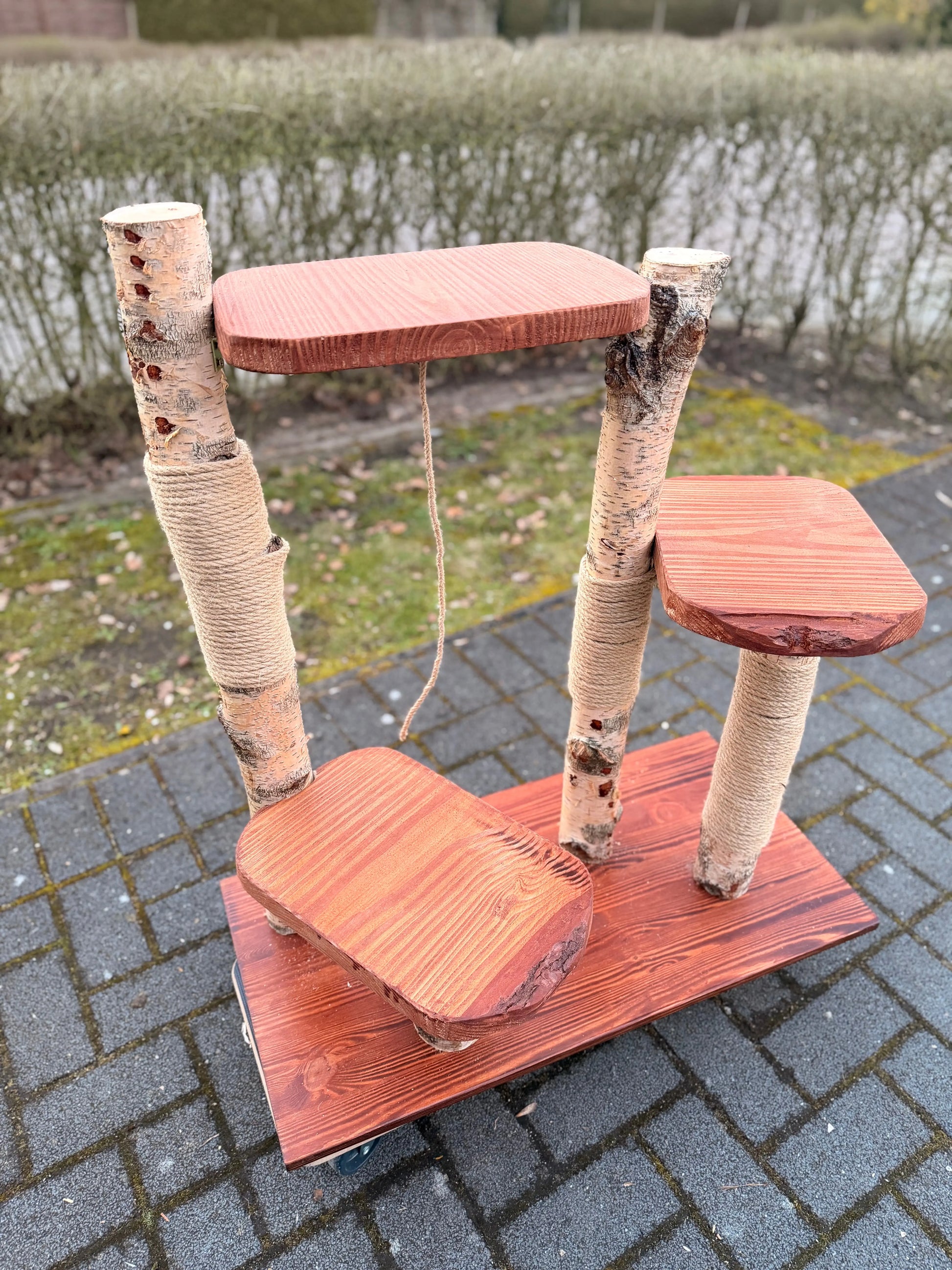 Kratzbaum "Waldtraum" aus Birke & Akazie – Stabil und Wetterfest | Für Innen und Außen | Mehrstöckiger Premium-Katzenbaum mit Naturholz Bunterkopf
