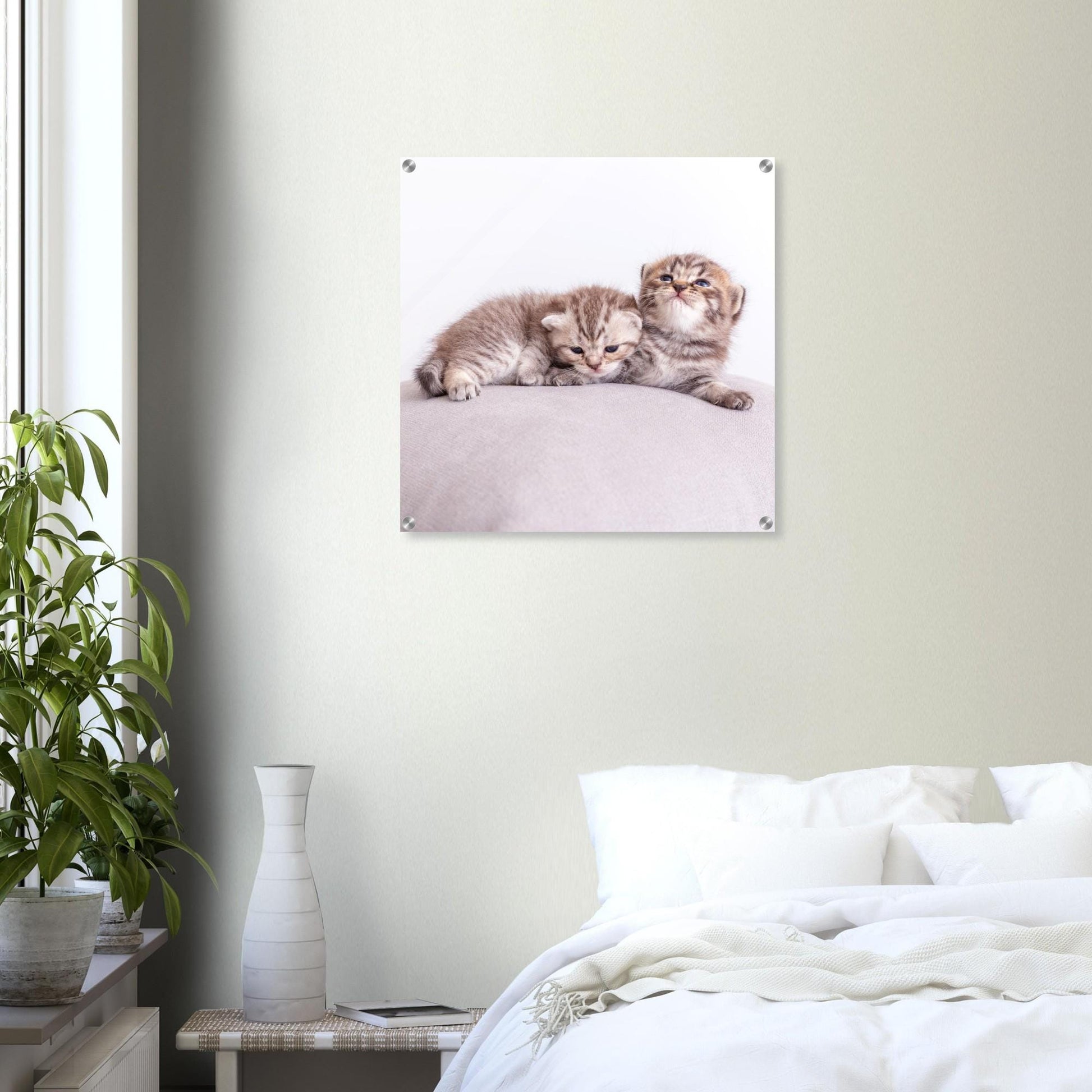 Personalisiertes Acrylbild – Haustier Leinwand mit Foto – Wandbild Katze Hund – Geschenk Tierliebhaber – Acrylglas Druck Tierfoto