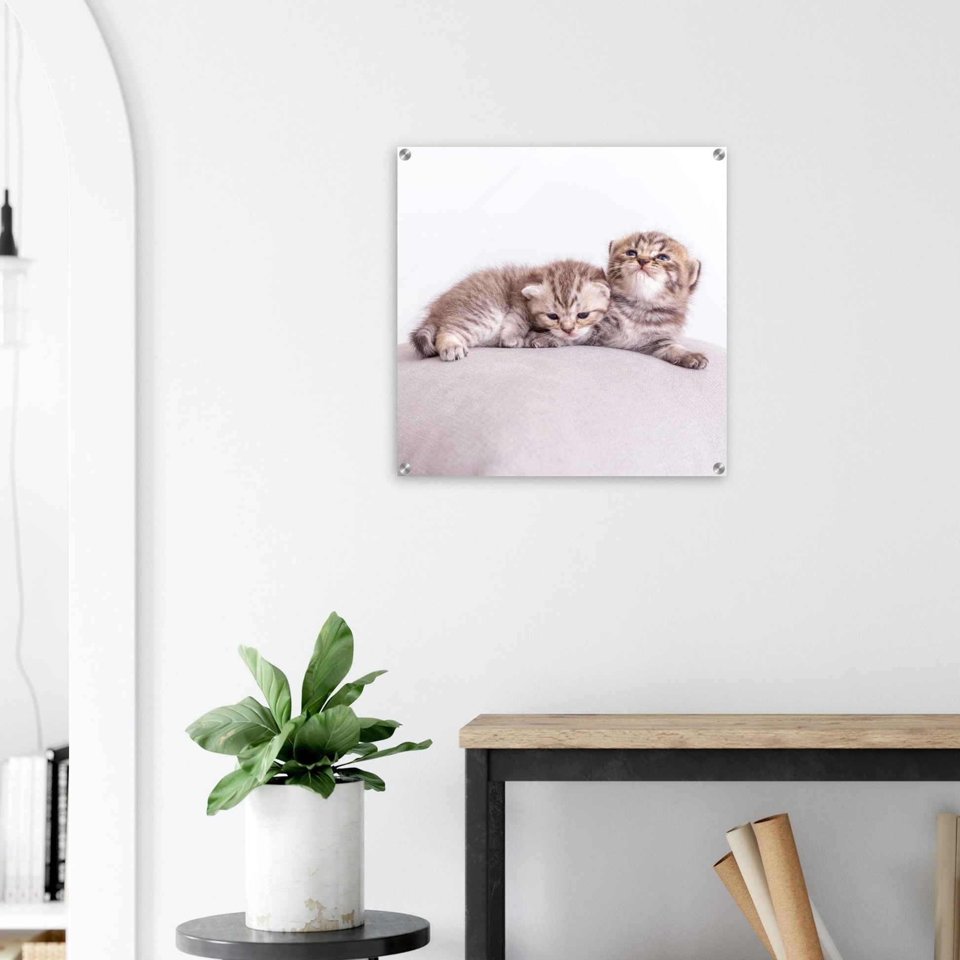 Personalisiertes Acrylbild – Haustier Leinwand mit Foto – Wandbild Katze Hund – Geschenk Tierliebhaber – Acrylglas Druck Tierfoto