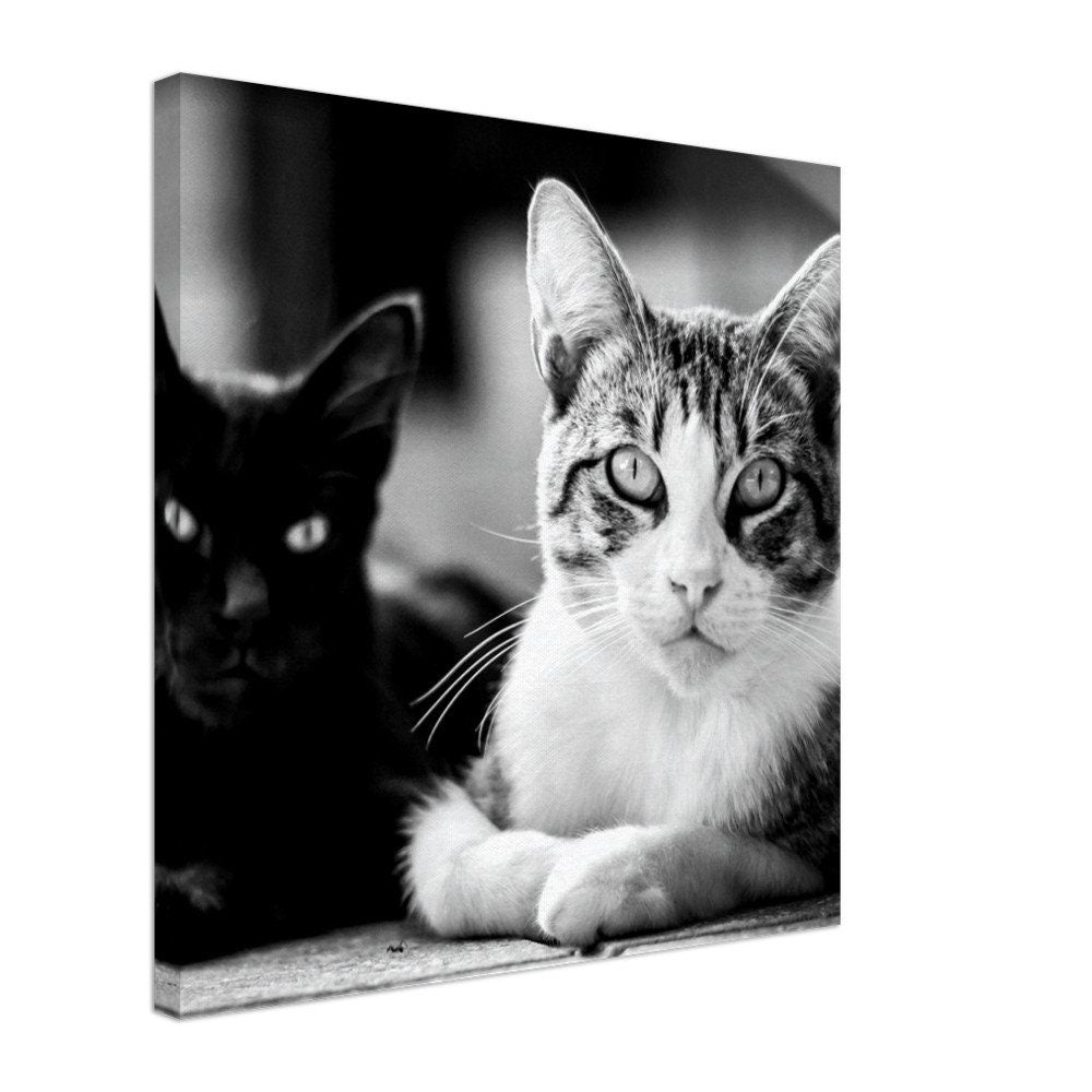 Personalisierte Katzen Leinwand – Dein Haustier als Wandbild – Individuelles Tierportrait auf Leinwand – Geschenk für Katzenliebhaber – Haus