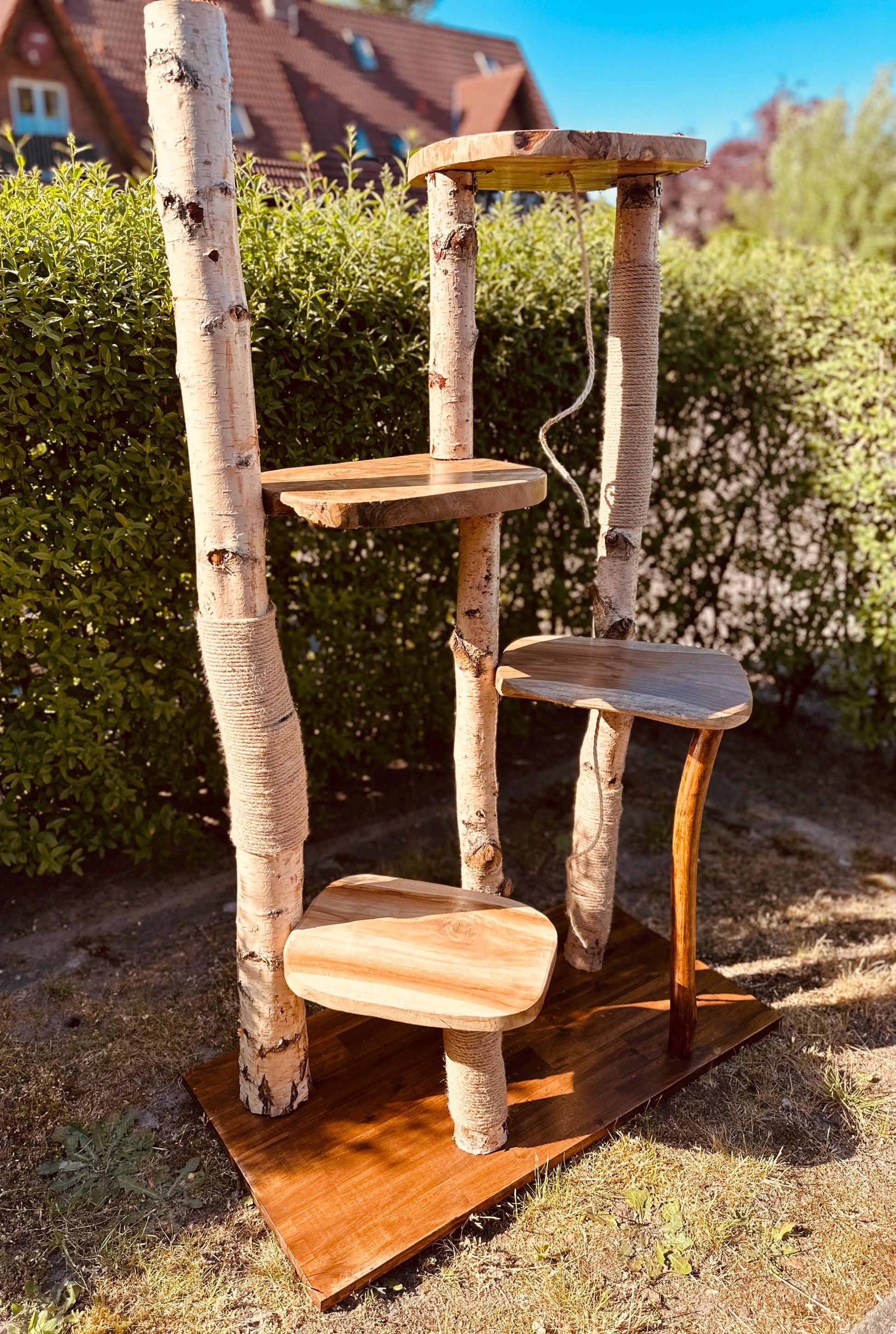 Kratzbaum aus Naturholz - Handgefertigt – Birke & Akazie – Für Innen und Außen – Platzsparend  – Kratzmöbel für Katzen – Nachhaltiges Design