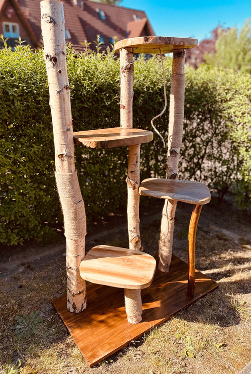 Kratzbaum aus Naturholz - Handgefertigt – Birke & Akazie – Für Innen und Außen – Platzsparend  – Kratzmöbel für Katzen – Nachhaltiges Design