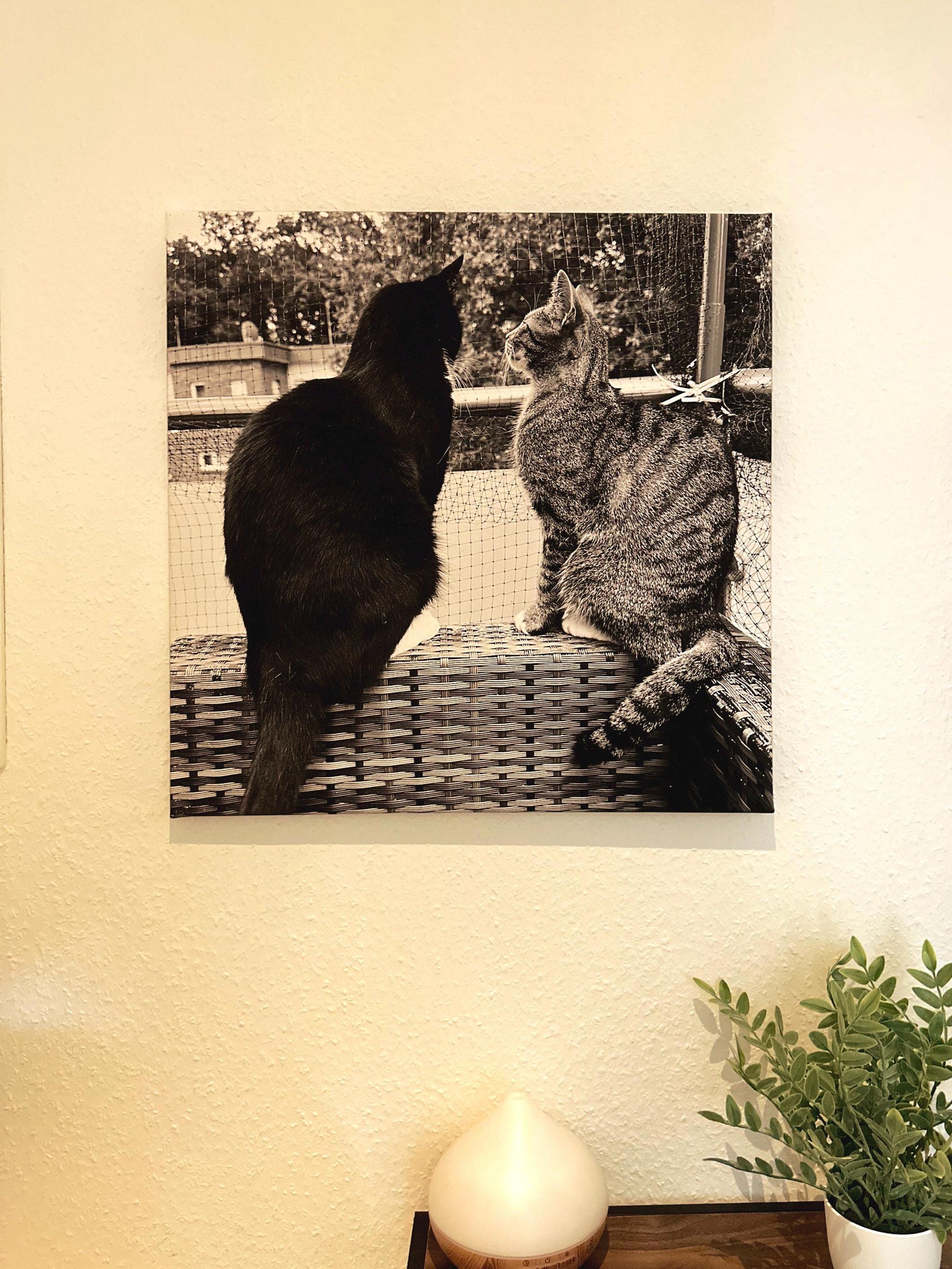 Personalisierte Katzen Leinwand – Dein Haustier als Wandbild – Individuelles Tierportrait auf Leinwand – Geschenk für Katzenliebhaber – Haus
