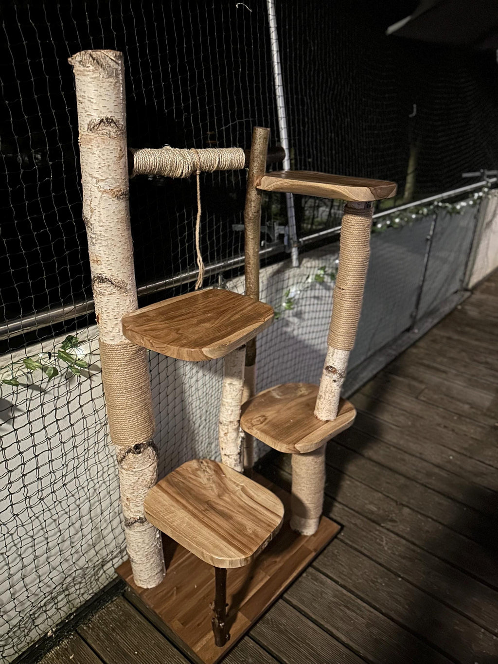 Kratzbaum aus Naturholz - Handgefertigt – Birke & Akazie – Für Innen und Außen – Platzsparend  – Kratzmöbel für Katzen – Nachhaltiges Design