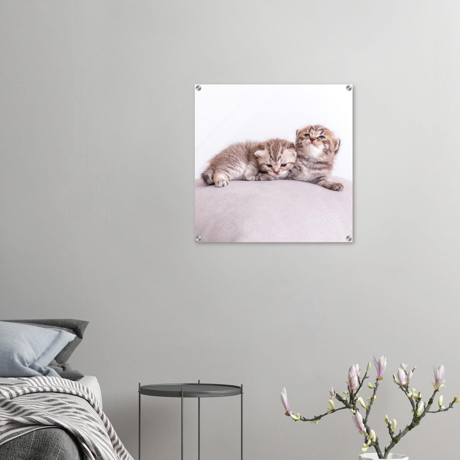 Personalisiertes Acrylbild – Haustier Leinwand mit Foto – Wandbild Katze Hund – Geschenk Tierliebhaber – Acrylglas Druck Tierfoto