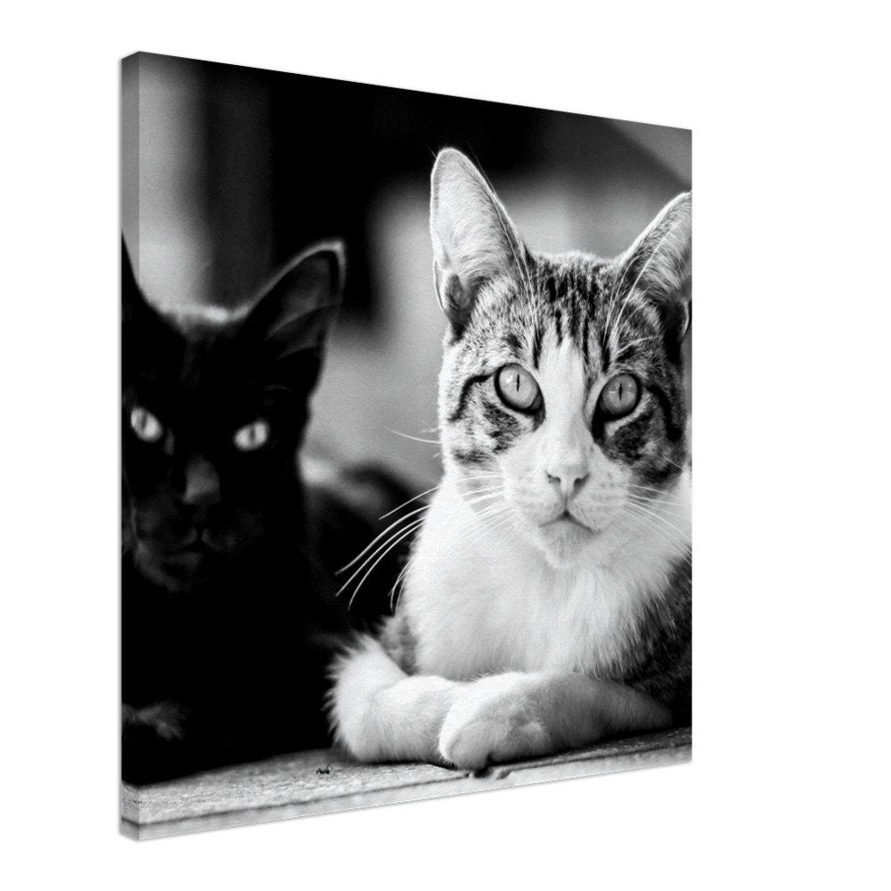 Personalisierte Katzen Leinwand – Dein Haustier als Wandbild – Individuelles Tierportrait auf Leinwand – Geschenk für Katzenliebhaber – Haus