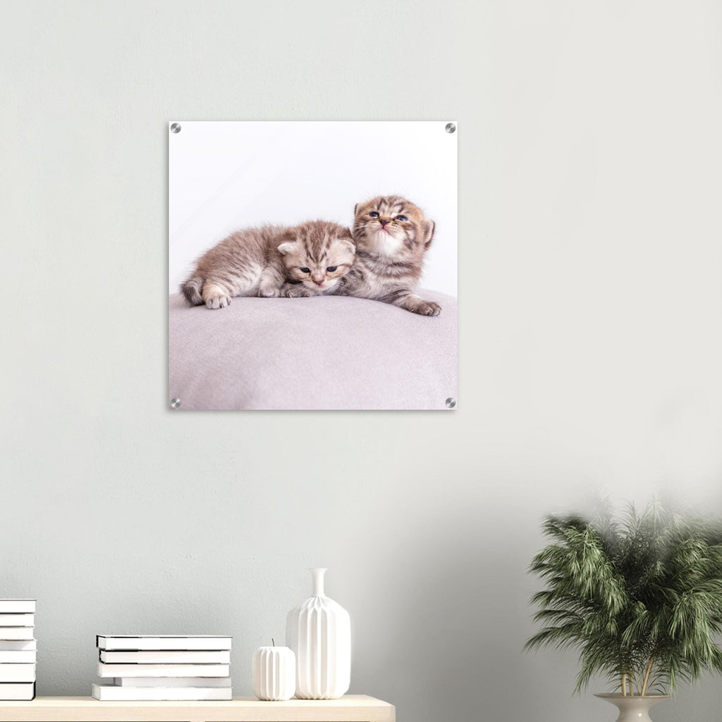 Personalisiertes Acrylbild – Haustier Leinwand mit Foto – Wandbild Katze Hund – Geschenk Tierliebhaber – Acrylglas Druck Tierfoto