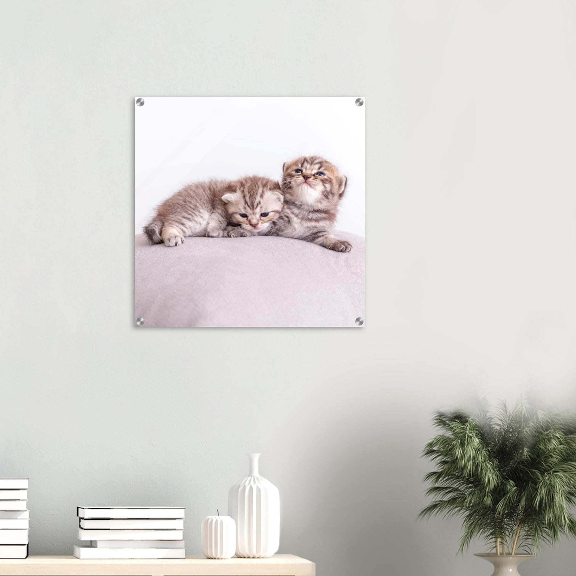 Personalisiertes Acrylbild – Haustier Leinwand mit Foto – Wandbild Katze Hund – Geschenk Tierliebhaber – Acrylglas Druck Tierfoto