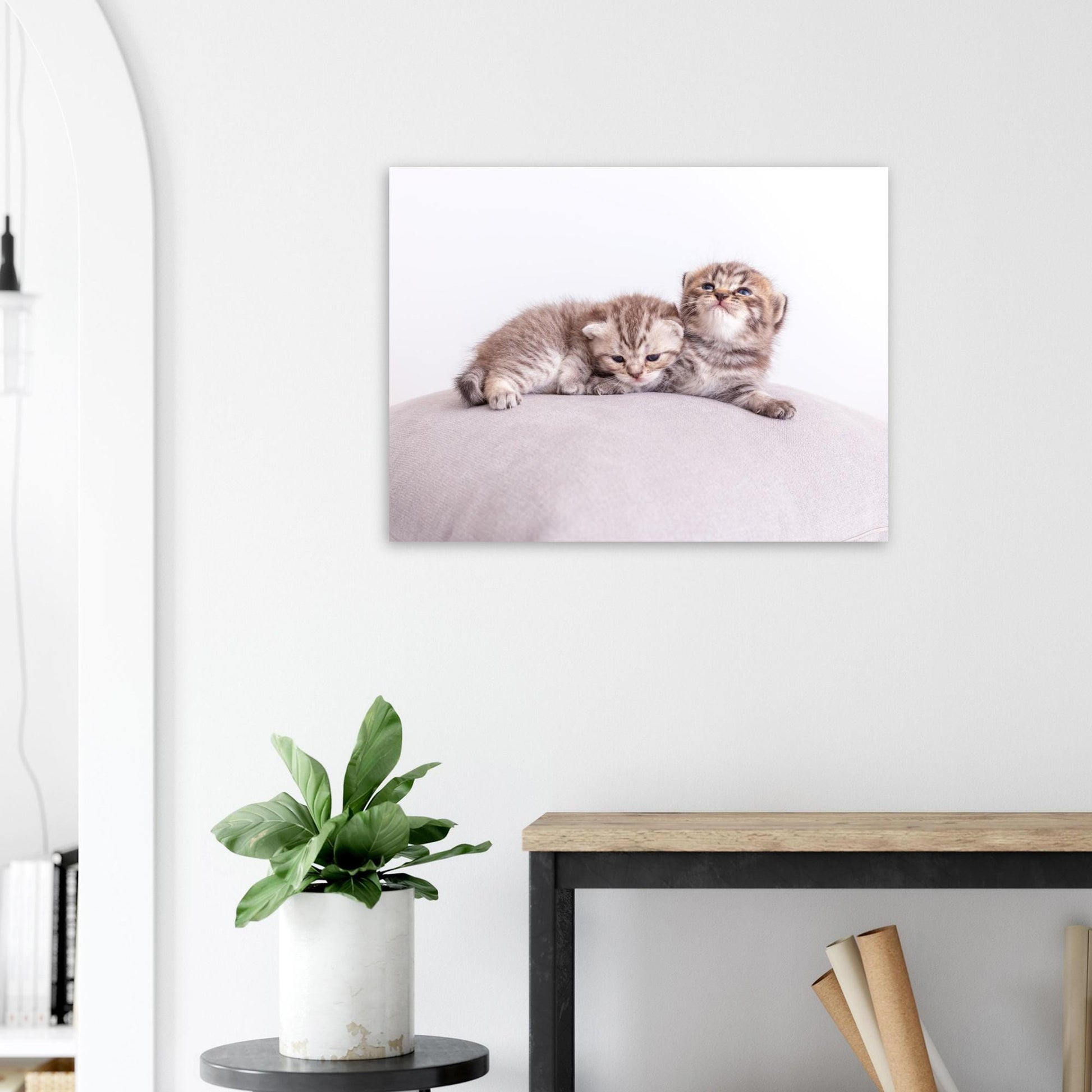 Personalisierte Haustier-Leinwand aus Aluminium – Dein Katzenfoto als edler Druck – Geschenk für Katzenliebhaber – Wandbild mit deinem Tier