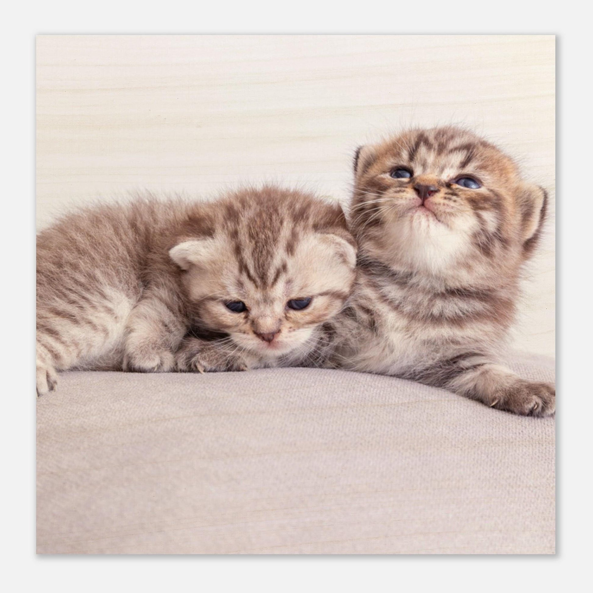 Personalisierter Holzdruck mit Katzenfoto – Haustierbild auf Holz – Geschenk für Katzenliebhaber – Natürliches Wandbild mit deinem Tierfoto