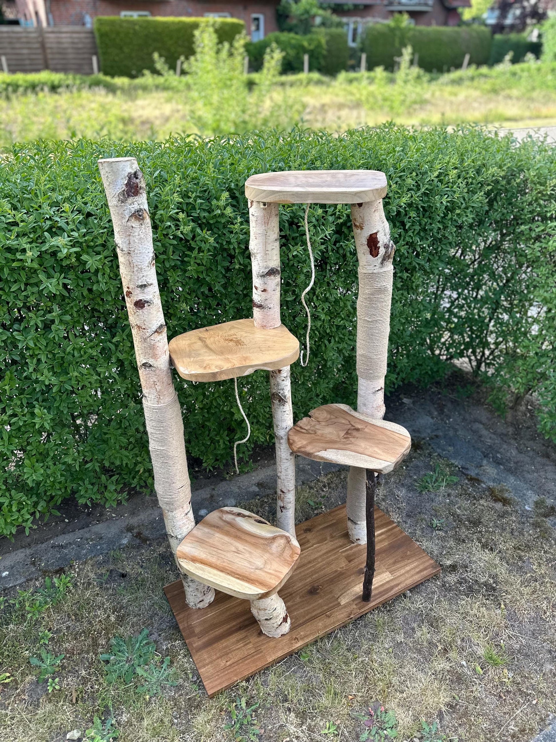 Kratzbaum aus Naturholz - Handgefertigt – Birke & Akazie – Für Innen und Außen – Platzsparend  – Kratzmöbel für Katzen – Nachhaltiges Design