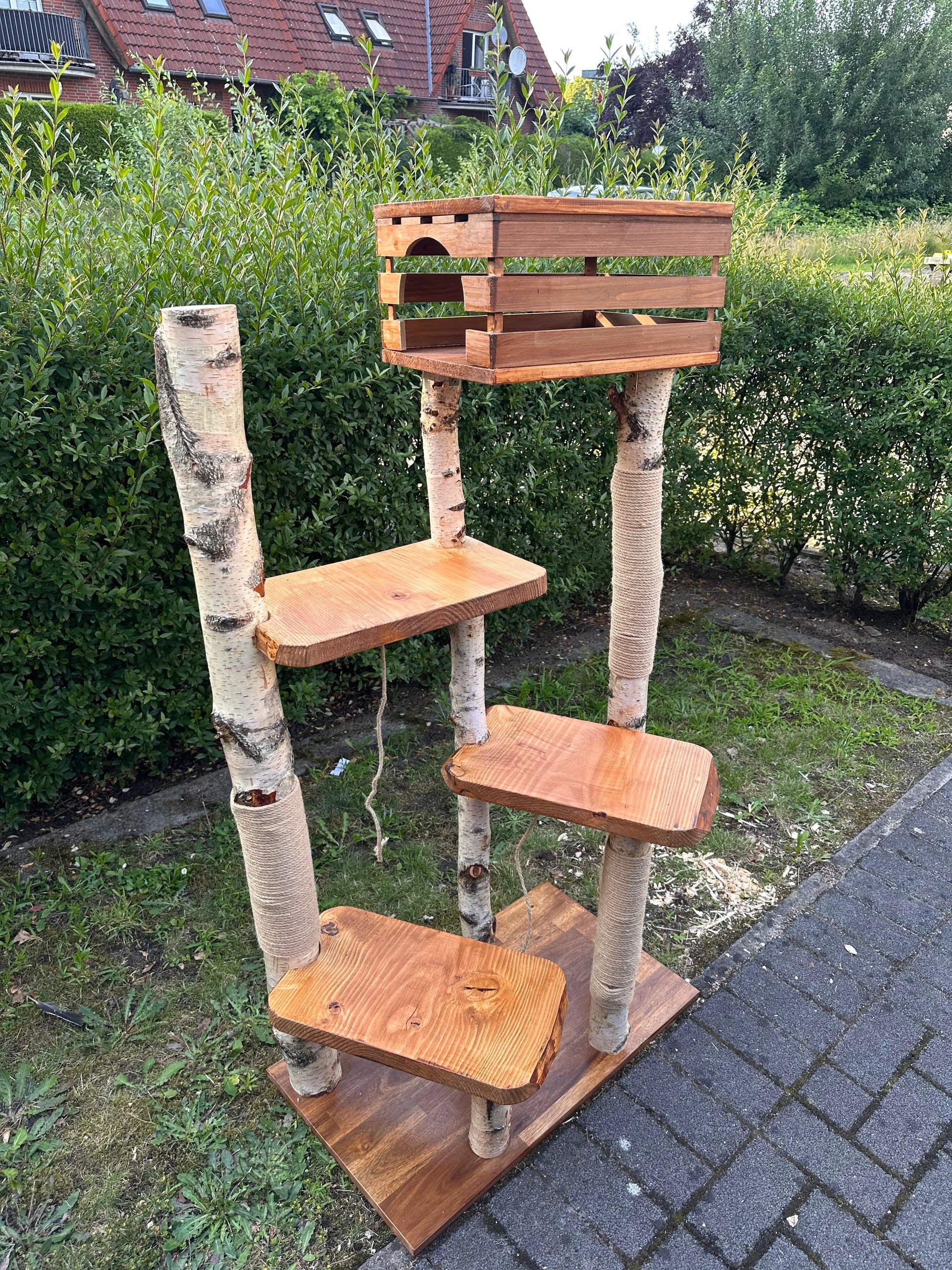 Kratzbaum "Sascha" aus Birke & Akazie – Stabil und Wetterfest | Für Innen und Außen | Mehrstöckiger Premium-Katzenbaum mit Naturholz und einer Höhle (Kopie) Bunterkopf