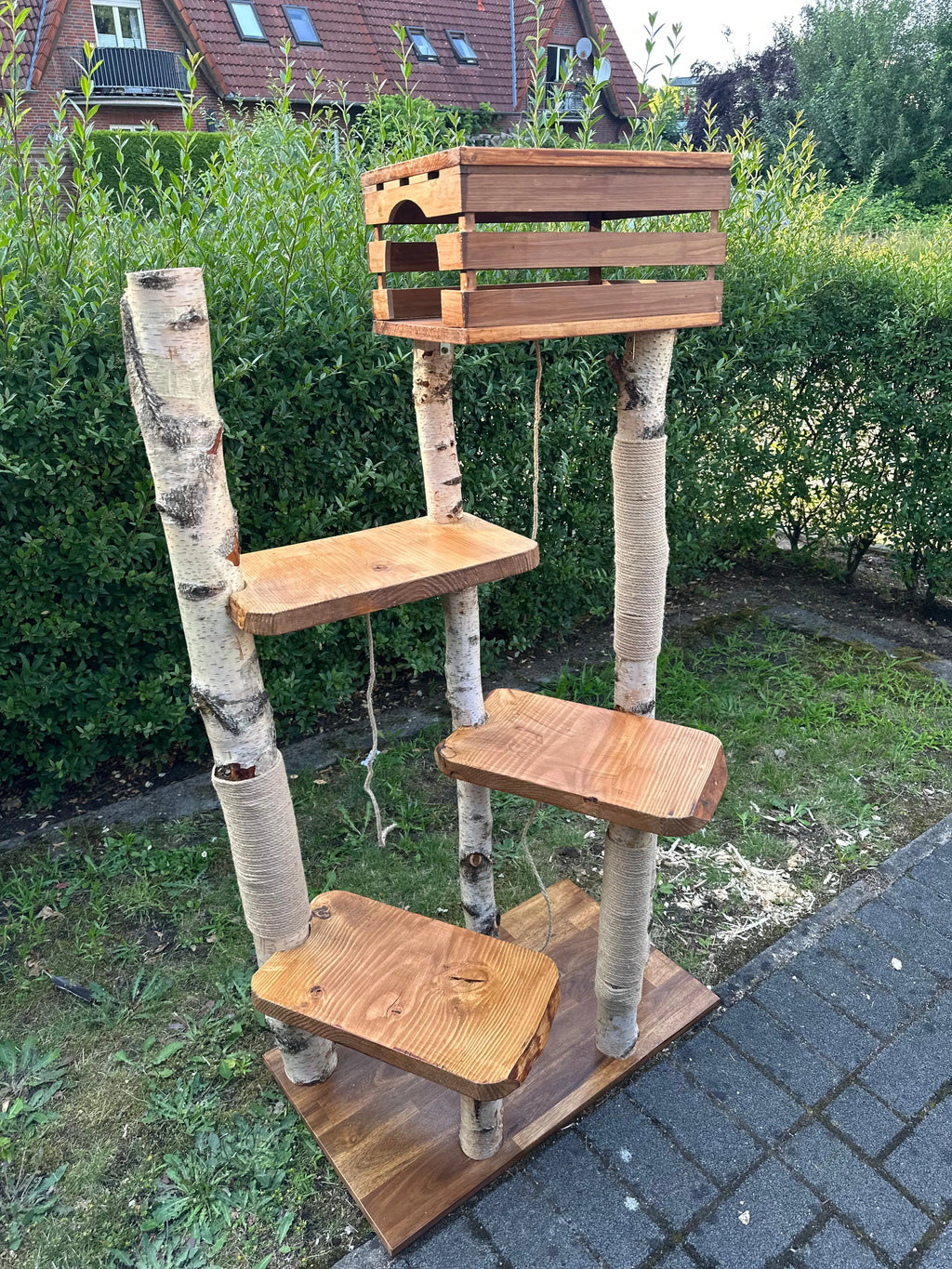 Kratzbaum "Sascha" aus Birke & Akazie – Stabil und Wetterfest | Für Innen und Außen | Mehrstöckiger Premium-Katzenbaum mit Naturholz und einer Höhle (Kopie) Bunterkopf