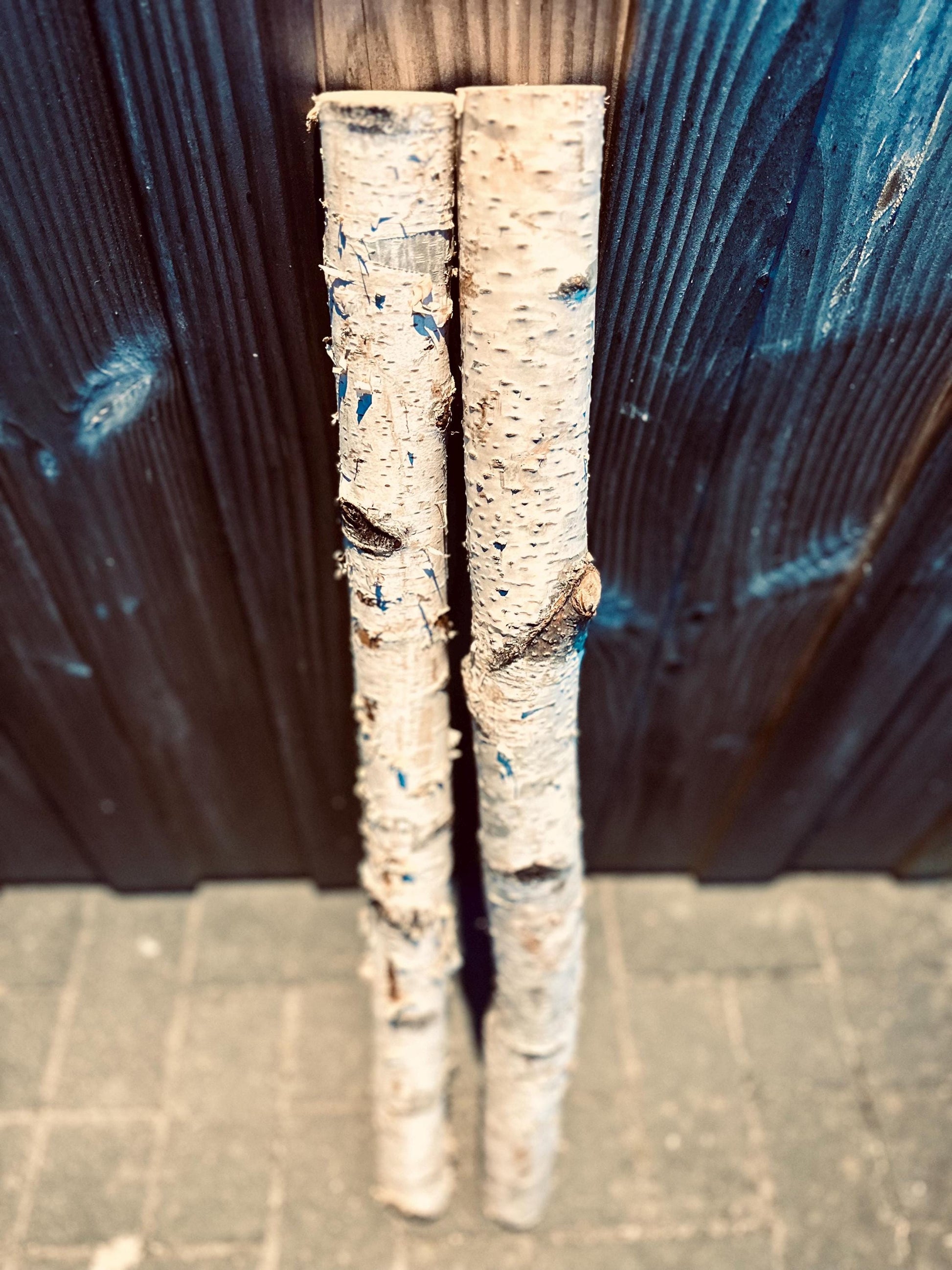 Birkenstamm 80 cm | 4–5 cm Ø | Dekoholz natur | Trocken | DIY Basteln Hochzeit Deko Weihnachten