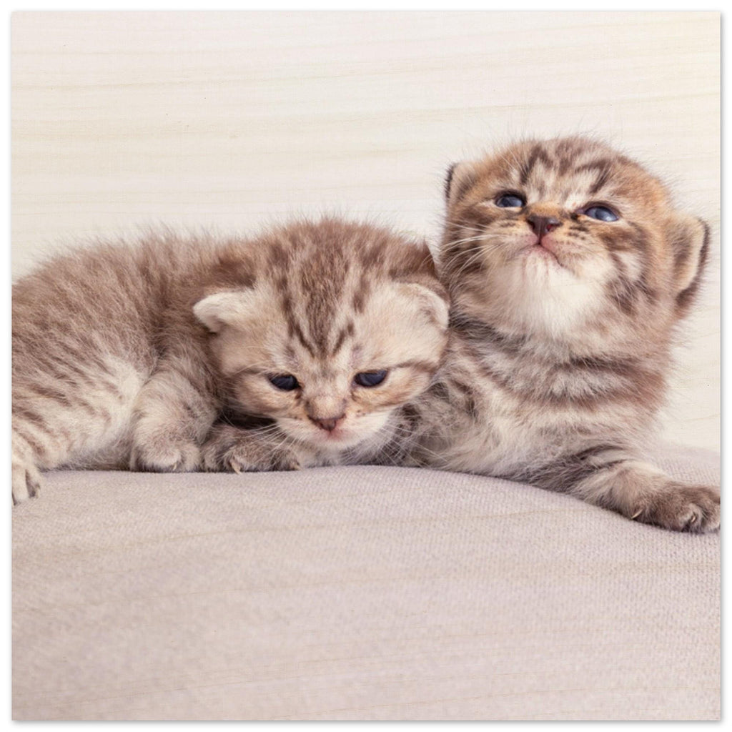 Personalisierter Holzdruck mit Katzenfoto – Haustierbild auf Holz – Geschenk für Katzenliebhaber – Natürliches Wandbild mit deinem Tierfoto