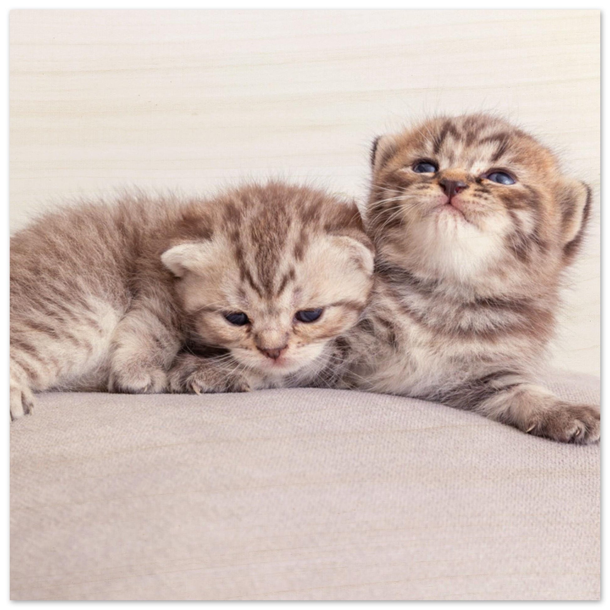 Personalisierter Holzdruck mit Katzenfoto – Haustierbild auf Holz – Geschenk für Katzenliebhaber – Natürliches Wandbild mit deinem Tierfoto